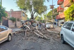 Evacuación preventiva en Ciudad de México tras sismo México con activación de alerta sísmica y protocolos de seguridad