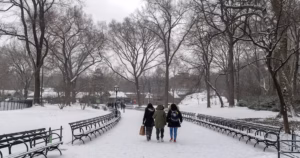 Actividades físicas gratuitas en Central Park ayudan a combatir el sedentarismo en Nueva York y promueven salud comunitaria