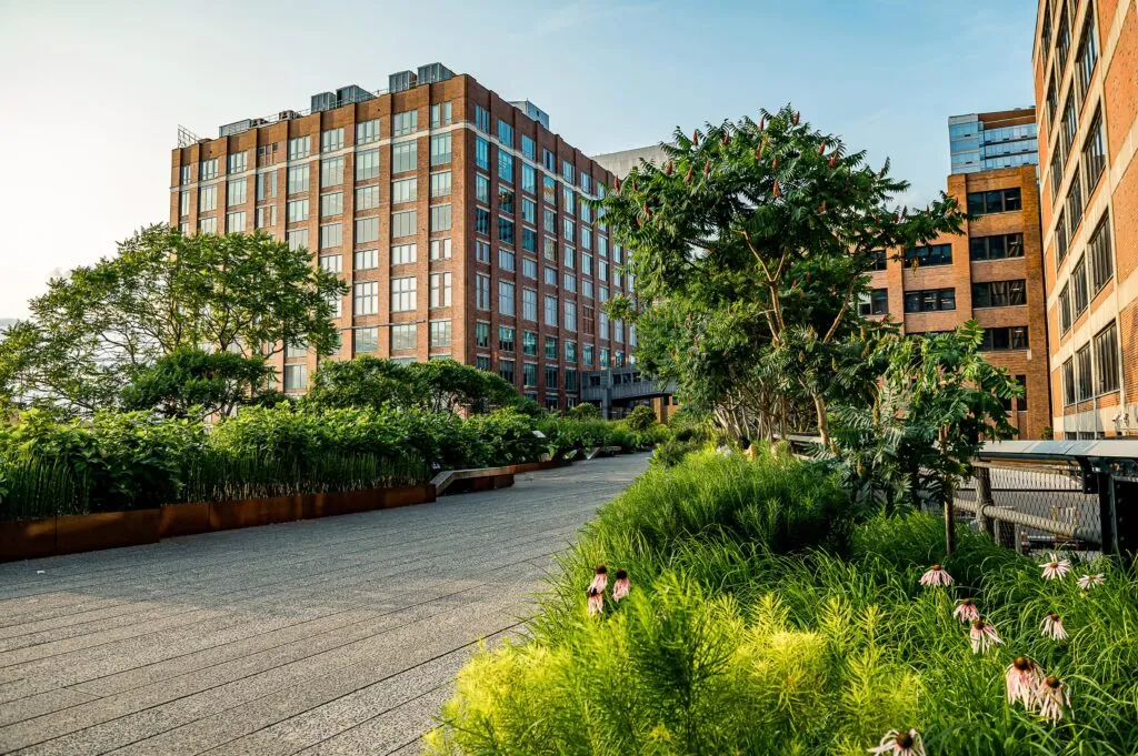 High Line Nueva York transformó una antigua vía ferroviaria en un parque elevado que hoy atrae millones de visitantes en Manhattan