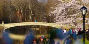 April Showers Nueva York transforma calles y parques con lluvia de primavera y turismo urbano activo