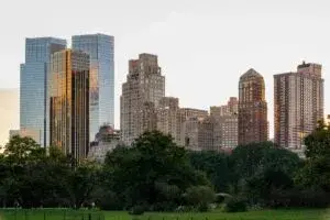cobertura arbórea Nueva York mejora calidad de vida y reduce calor urbano en comunidades