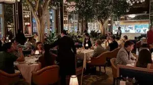 Drinks en Nueva York dentro de elegante cocktail bar estilo old money en Manhattan