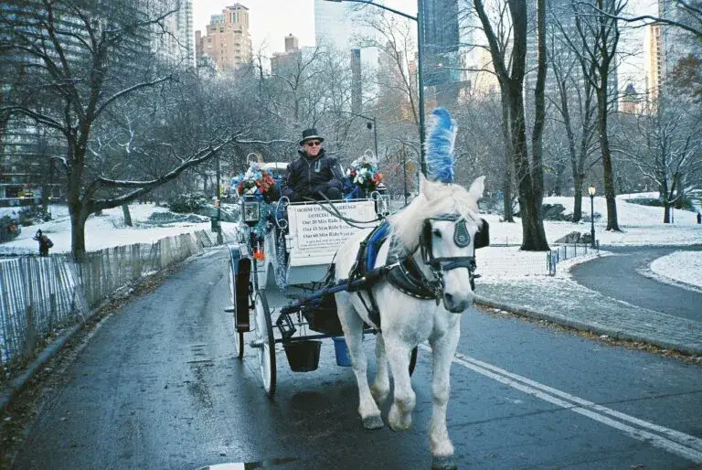 Carruajes de caballos en Nueva York durante el debate sobre su posible prohibición tras recientes accidentes