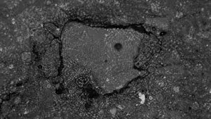 Meteorito en Nueva York hallado tras impactar una casa revela compuestos relacionados con el origen de la vida.