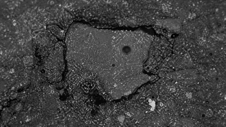 Meteorito en Nueva York hallado tras impactar una casa revela compuestos relacionados con el origen de la vida.