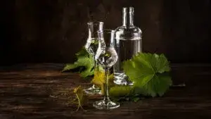 Pisco chileno premiado en Nueva York con medallas de oro y plata en una competencia internacional de destilados.